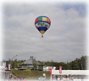 fo-110.jpg