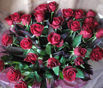 rose-1110_1.jpg